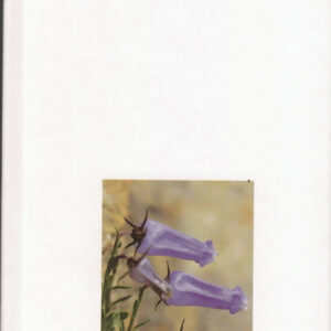 Alpski botanični vrt Juliana v Trenti