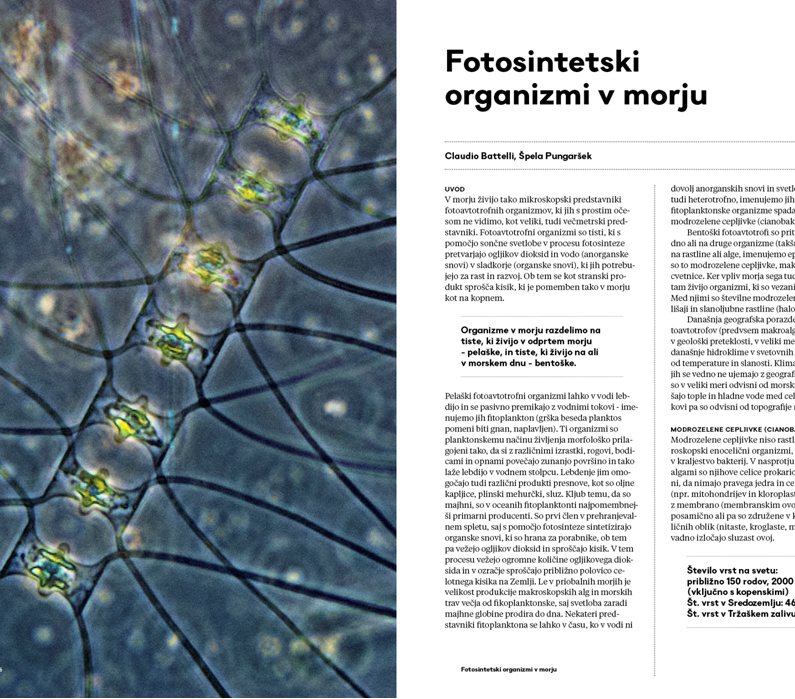 Naše malo veliko morje - Image 8