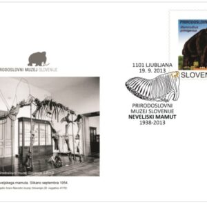 Okostje mamuta - ovojnica