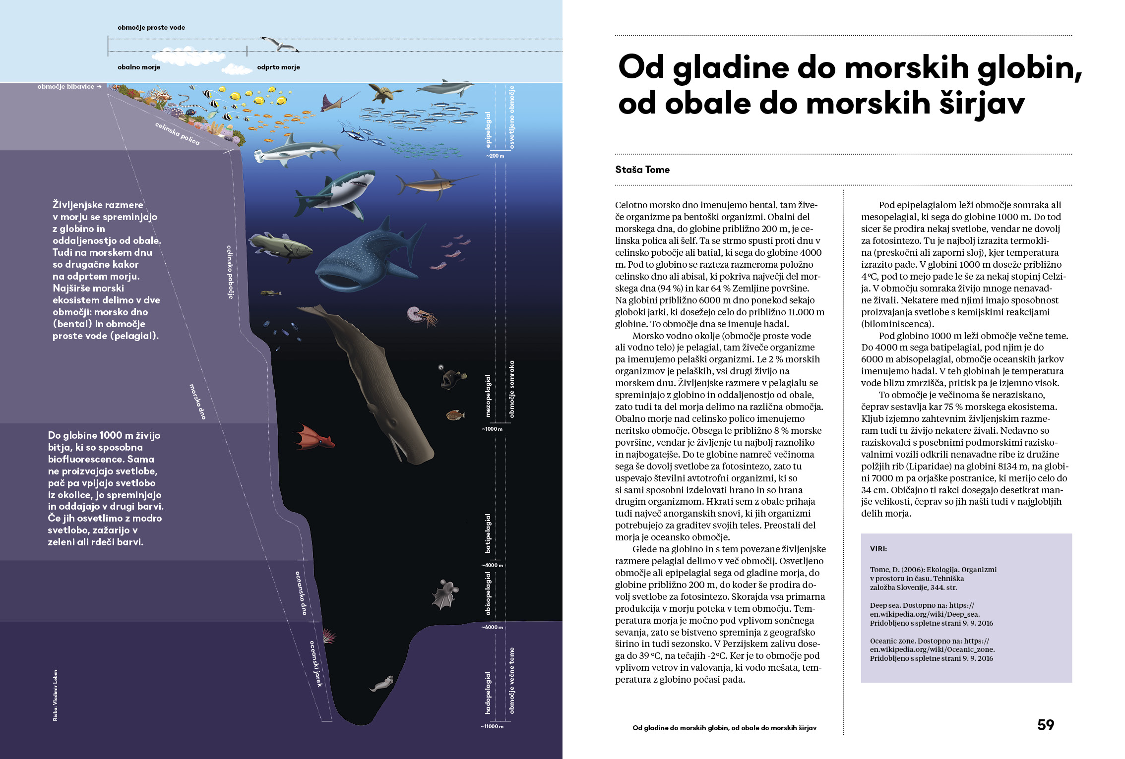 Naše malo veliko morje - Image 5