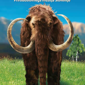 Vodnik po razstavnih geoloških zbirkah Prirodoslovnega muzeja Slovenije