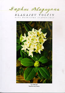 Blagajev volčin – naša botanična znamenitost