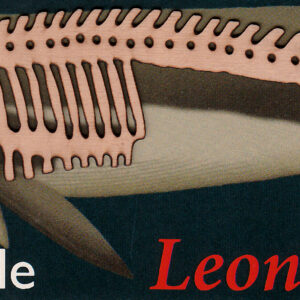 Knjižna kazalka kit