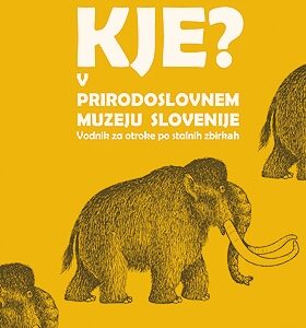 Kje? V Prirodoslovnem muzeju Slovenije. Vodnik za otroke po stalnih zbirkah