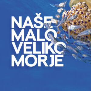 Naše malo veliko morje