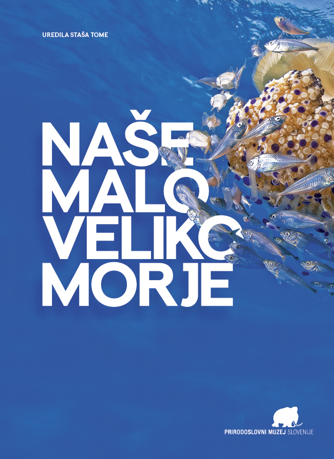 Naše malo veliko morje