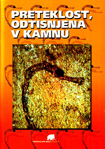 Preteklost, odtisnjena v kamnu