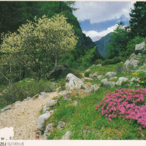 Razglednica JULIANA spomladanski prizor