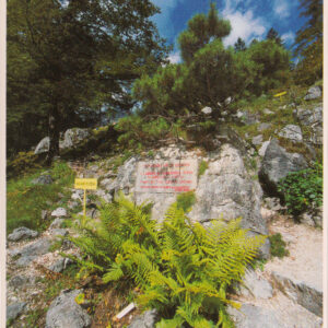 Razglednica JULIANA spominska plošča