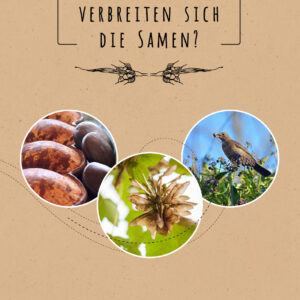 WIE VERBREITEN SICH DIE SAMEN?