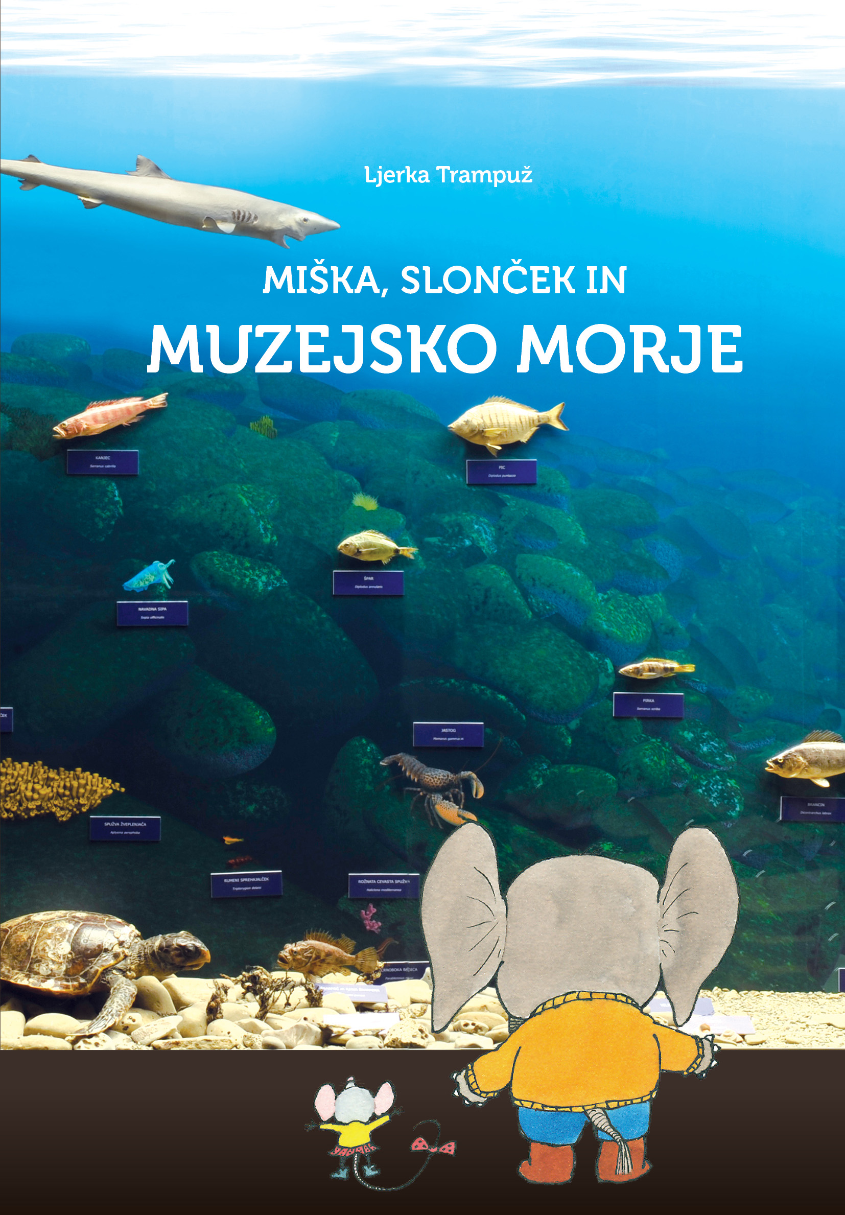 Miška, slonček in muzejsko morje